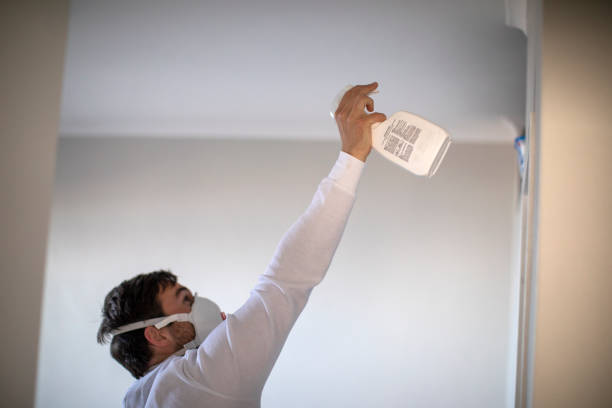 Best Crawl Space Mold Removal  in Georgetown, CT