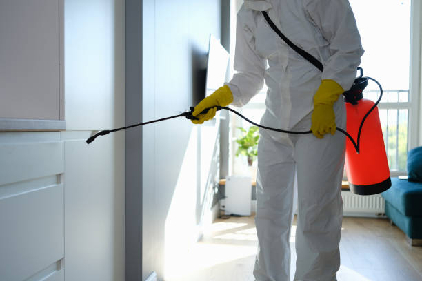 Best Mold Testing  in Georgetown, CT