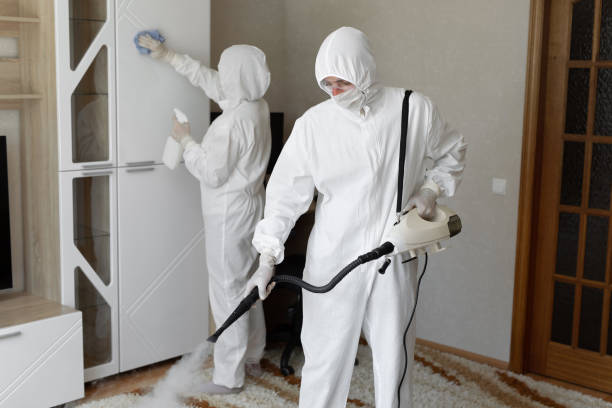 Best Mold Removal Specialists  in Georgetown, CT