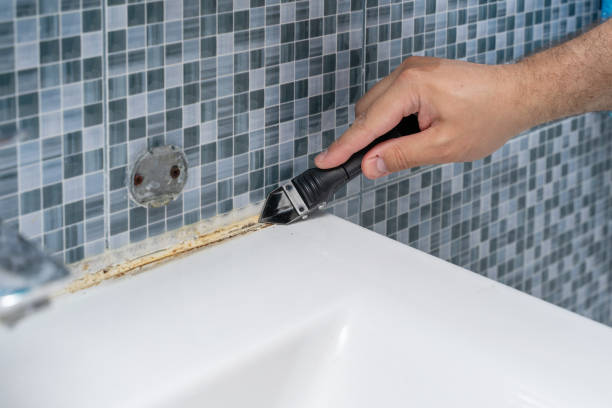 Best Office Mold Removal Services  in Georgetown, CT