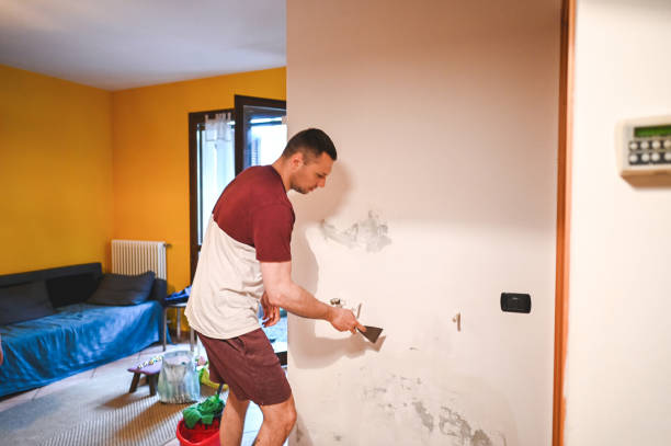 Best Professional Mold Removal  in Georgetown, CT